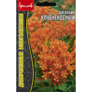 Ваточник Клубненосный 10 шт.(Григорьев)
