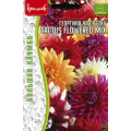 Георгина Cactus Flowered Mix на срезку 20шт.(Григорьев)