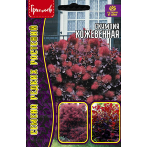 Скумпия Кожевенная  20шт. (Григорьев)
