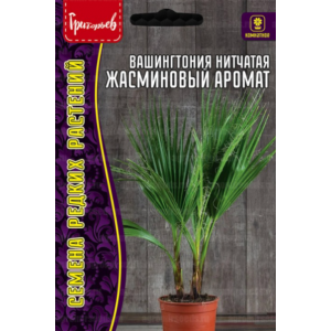 Вашингтония Жасминовый Аромат нитчатая  5шт.(Григорьев)