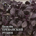 Базилик Ереванский рубин 10,0 г Г