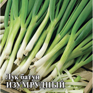 Лук батун Изумрудный, на зелень 10,0 г (Г)