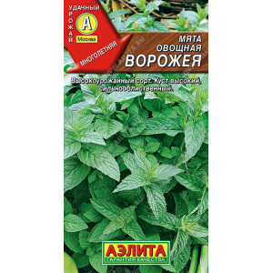 Мята Ворожея Ц (0,1г)