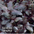 Базилик Арарат 10,0 г Г
