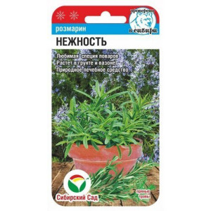 Розмарин Нежность (0,02 г) (Сиб сад)