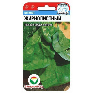 Шпинат Жирнолистный 1гр (Сиб сад)