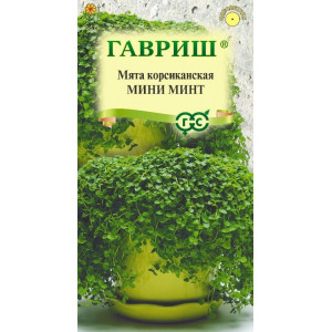 Мята корсиканская Мини минт 3шт Г