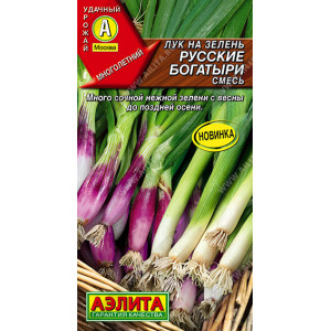 Лук на зелень Русские богатыри, смесь 1г Ц