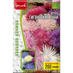 Астра Гигантские Лучи смесь 200 шт. (Григорьев)
