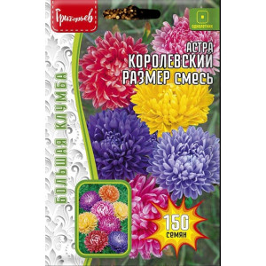 Астра Королевский размер смесь 150шт (Григорьев)