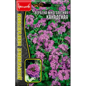 Вербена Канадская многолетняя 0,05г. (Григорьев)