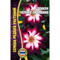 Адениум Черный любовник 3шт (Ред.Сем)