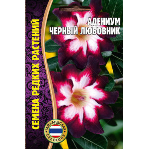 Адениум Черный любовник 3шт (Ред.Сем)