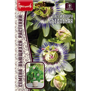 Пассифлора Съедобная 5шт (Ред.Сем)