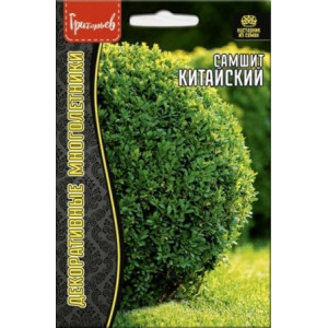 Самшит Китайский многолетник 10шт (Ред.Сем)