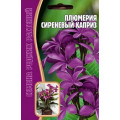 Плюмерия (франжипани) Сиреневый Каприз 3шт (Ред.сем)