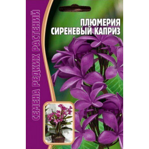 Плюмерия (франжипани) Сиреневый Каприз 3шт (Ред.сем)