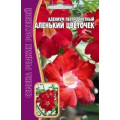 Адениум Аленький Цветочек пестролистный 3шт (Ред.Сем)