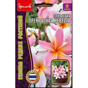 Плюмерия (франжипани) Прекрасная Невеста 3шт (Ред.сем)
