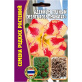 Адениум Mahatap Desert rose тучный 3шт (Ред.Сем)