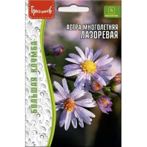 Астра Лазоревая многолетняя большая грядка 20шт (Ред.сем)