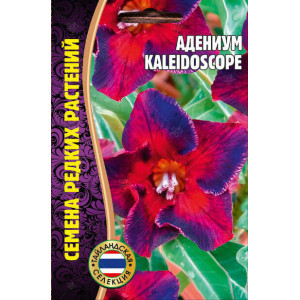 Адениум Калейдоскоп 3шт (Ред.Сем)