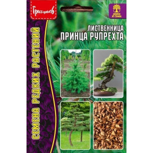 Лиственница Принца Рупрехта 15шт (Ред.Сем)