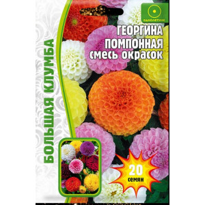Георгина помпонная смесь окрасок 20 шт.  (Григорьев)