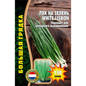Лук на зелень WHITE LISBON Большая грядка 150шт (Ред.Сем)
