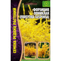 Форзиция пониклая 20 шт. (Григорьев)