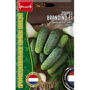 Огурец Brandino F1 Seminis 5шт (Григорьев)