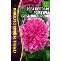 Роза Кустовая Роксбурга 10шт (Ред.сем)