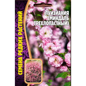 Луизиания Трёхлопастная (Миндаль)  3шт.  (Григорьев)