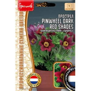 Прострел Pinwheel Dark Red Shades 3шт. (Григорьев)