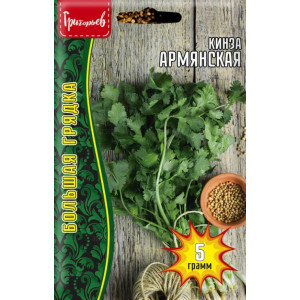Кинза Армянская 5г (Григорьев)