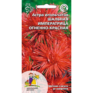 Астра Шальная императрица огненно-красная  (УД) 