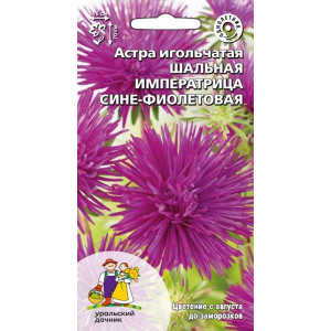 Астра Шальная императрица сине-фиолетовая  (УД) 