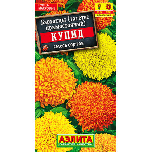 Бархатцы Купид хризантемовидные, смесь сортов 0,1г Ц