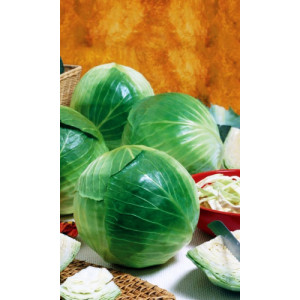 Капуста Мечта (УД)
