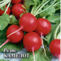 Редис Камелот 50,0 г Г