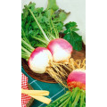 Брюква Русская Десертная (УД)
