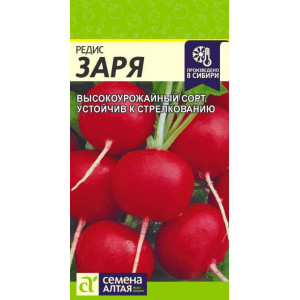 Редис Заря/Сем Алт/цп 2 гр.