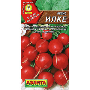 Редис Илка (3г.)аЛ