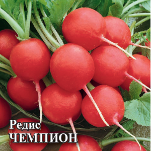 Редис Чемпион 50,0 г Г