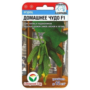 Огурец Домашнее чудо F1(7сем.) (Сиб сад)(10)