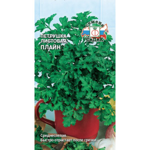 Петрушка листовая Плайн (2г.) (С)
