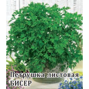 Петрушка листовая Бисер 50,0 г Г