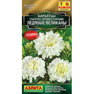 Бархатцы Ледяные великаны 7шт Ц