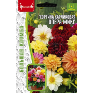 Георгина Опера Микс карликовая 15шт.(Ред.Сем.)
