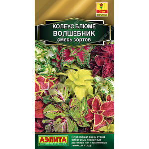 Колеус Волшебник блюме 5шт!! Аэ Ц